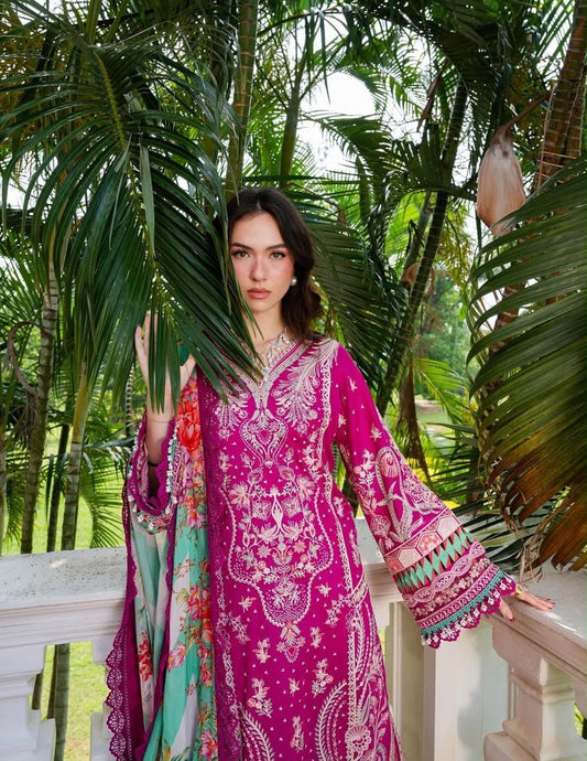 ANEELA COLLECTION